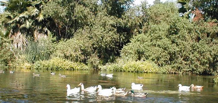 Los Angeles River
