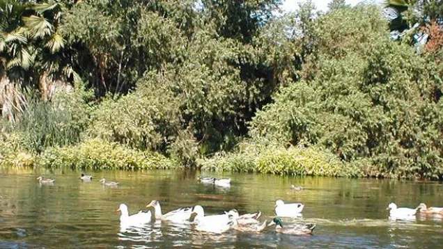 Los Angeles River