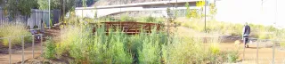 Ed P Reyes Riverway